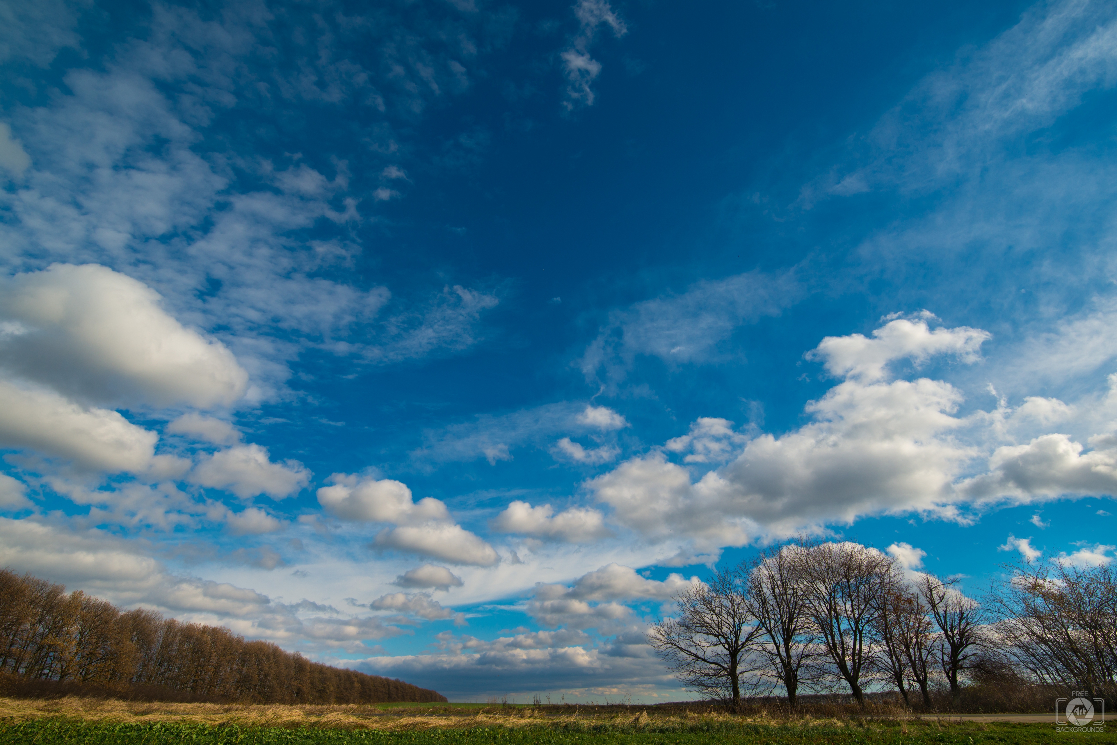 Autumn Field Landscape Background - High-quality Free Backgrounds