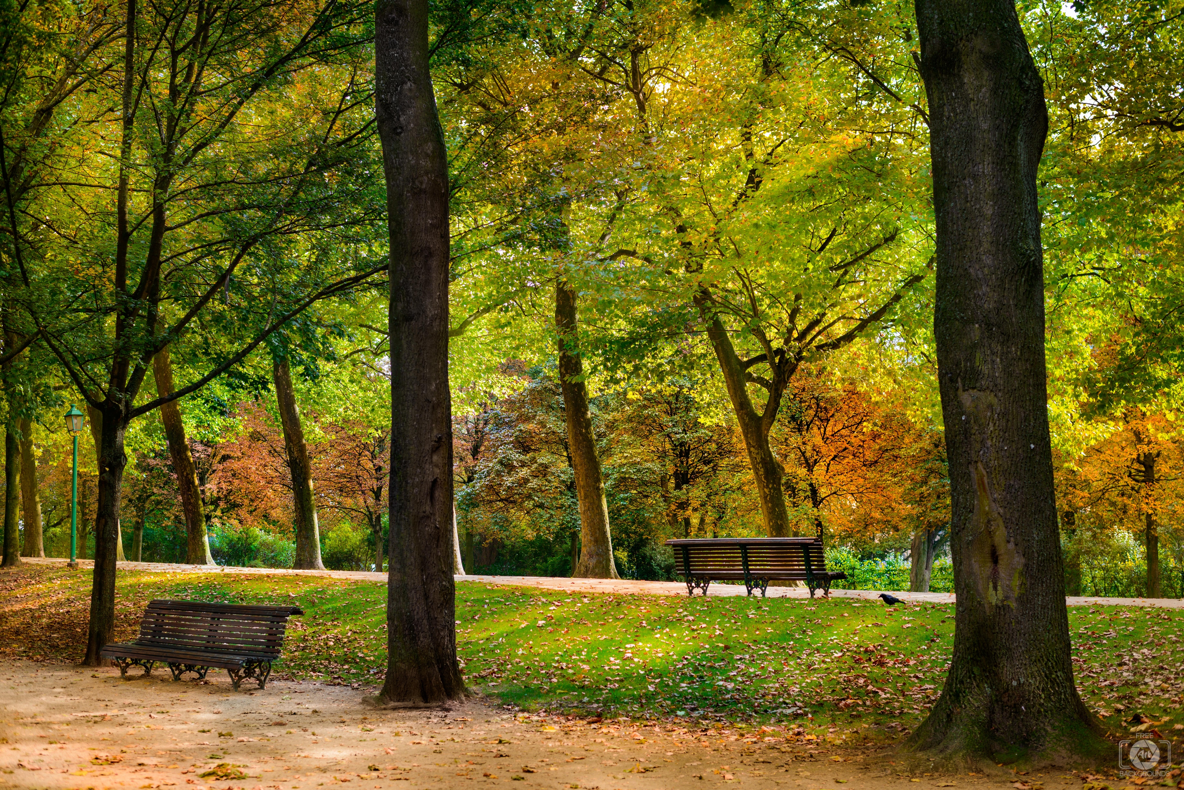Autumn in the Park Background - High-quality Free Backgrounds