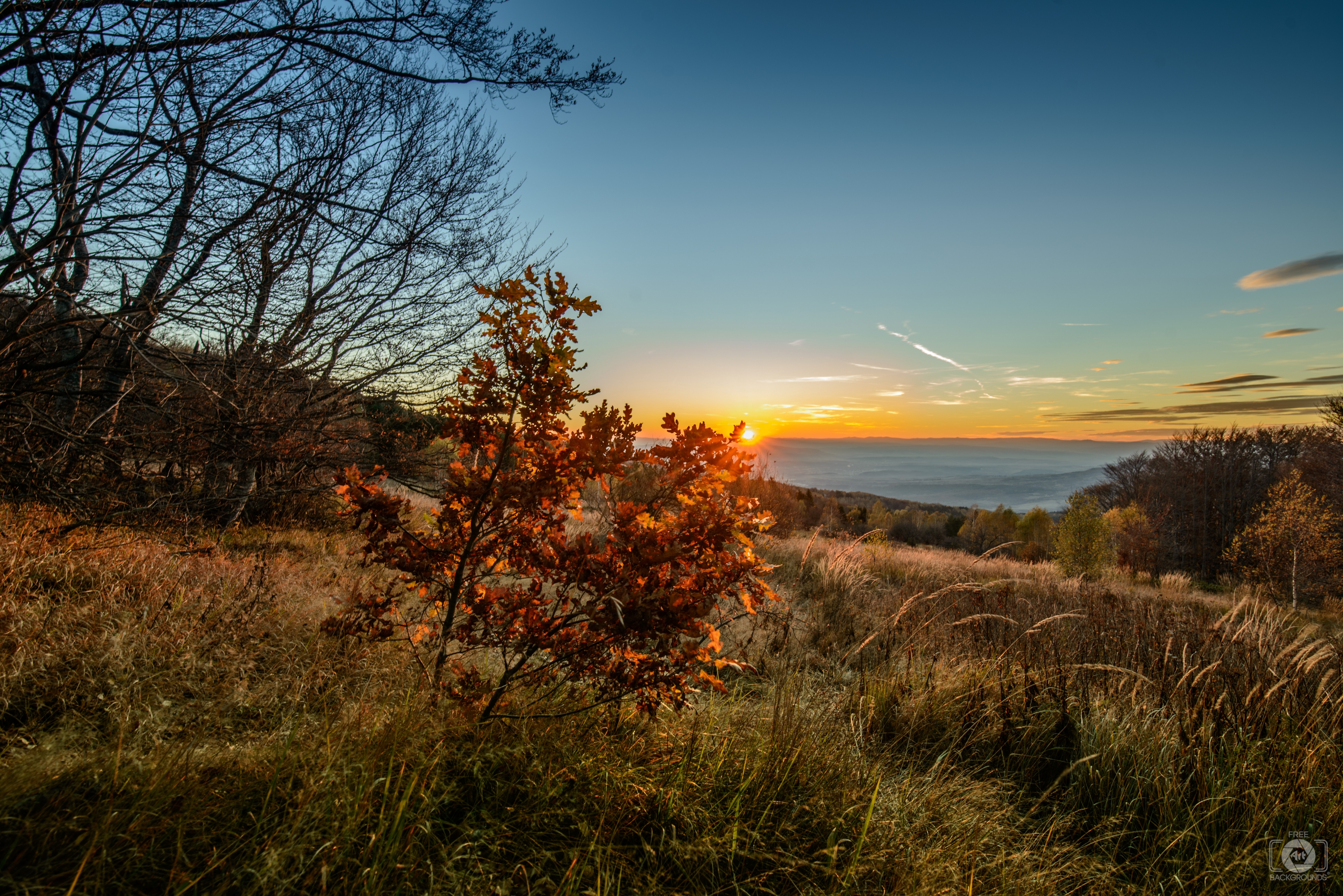 autumn sunset wallpaper