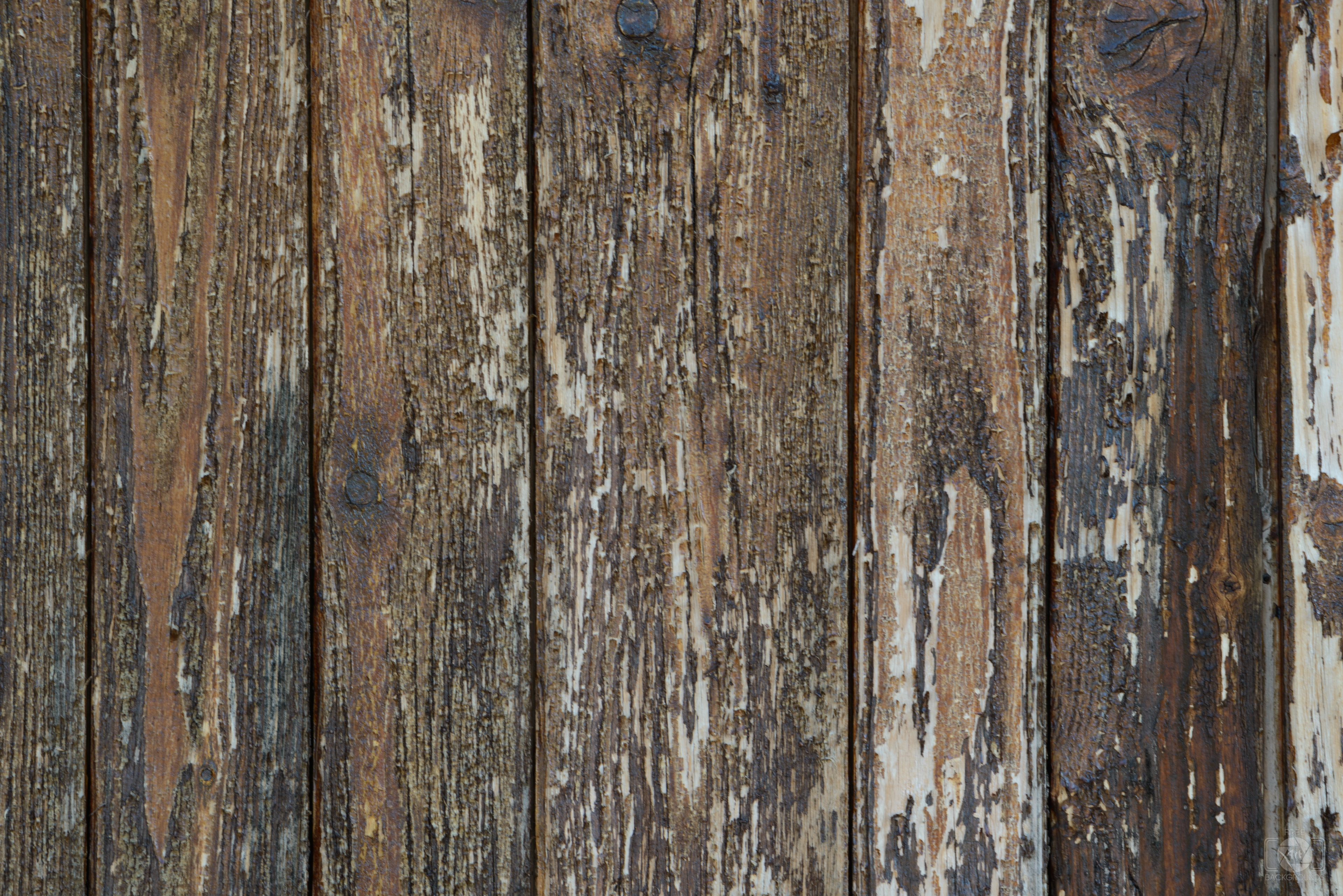 Wood Plank Texture: Background Images & Pictures