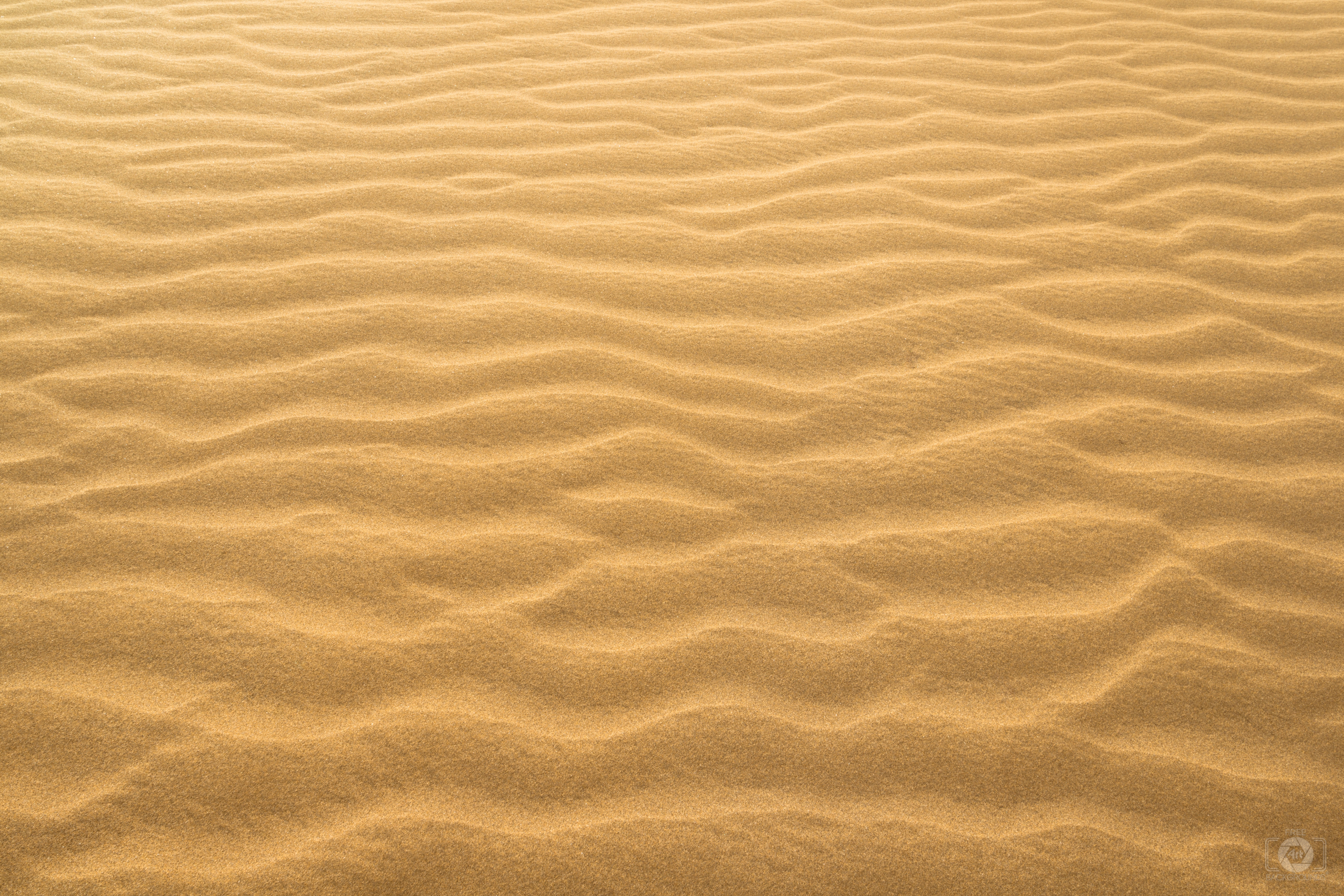 Desert Sand Texture High Quality Free Backgrounds