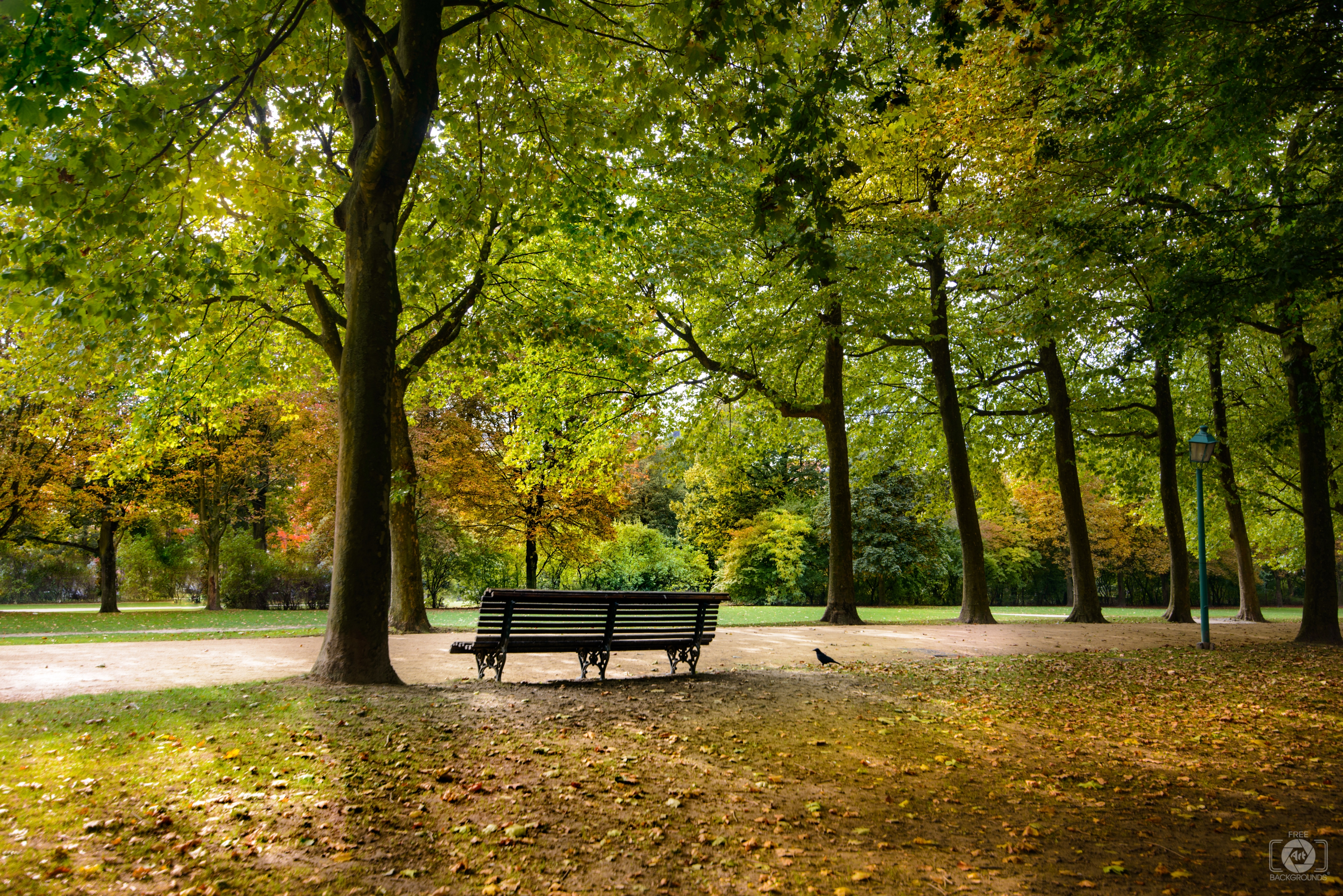Fall in the Park Background - High-quality Free Backgrounds