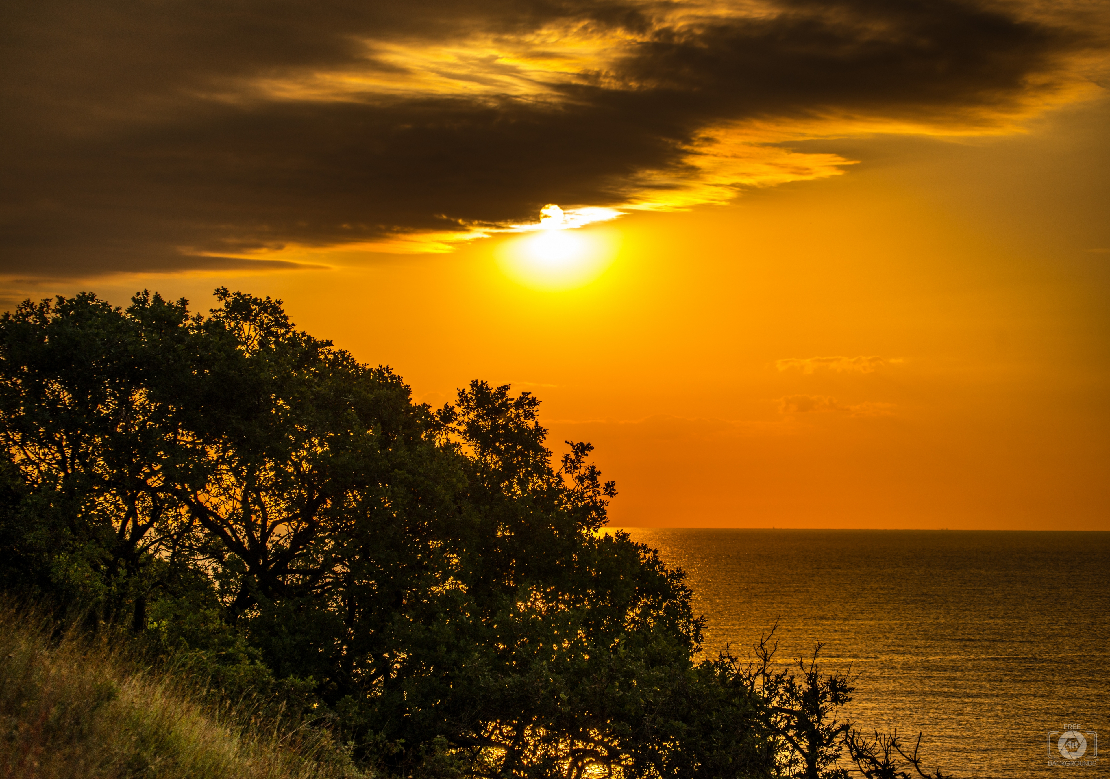 Golden Sea Morning Background - High-quality Free Backgrounds