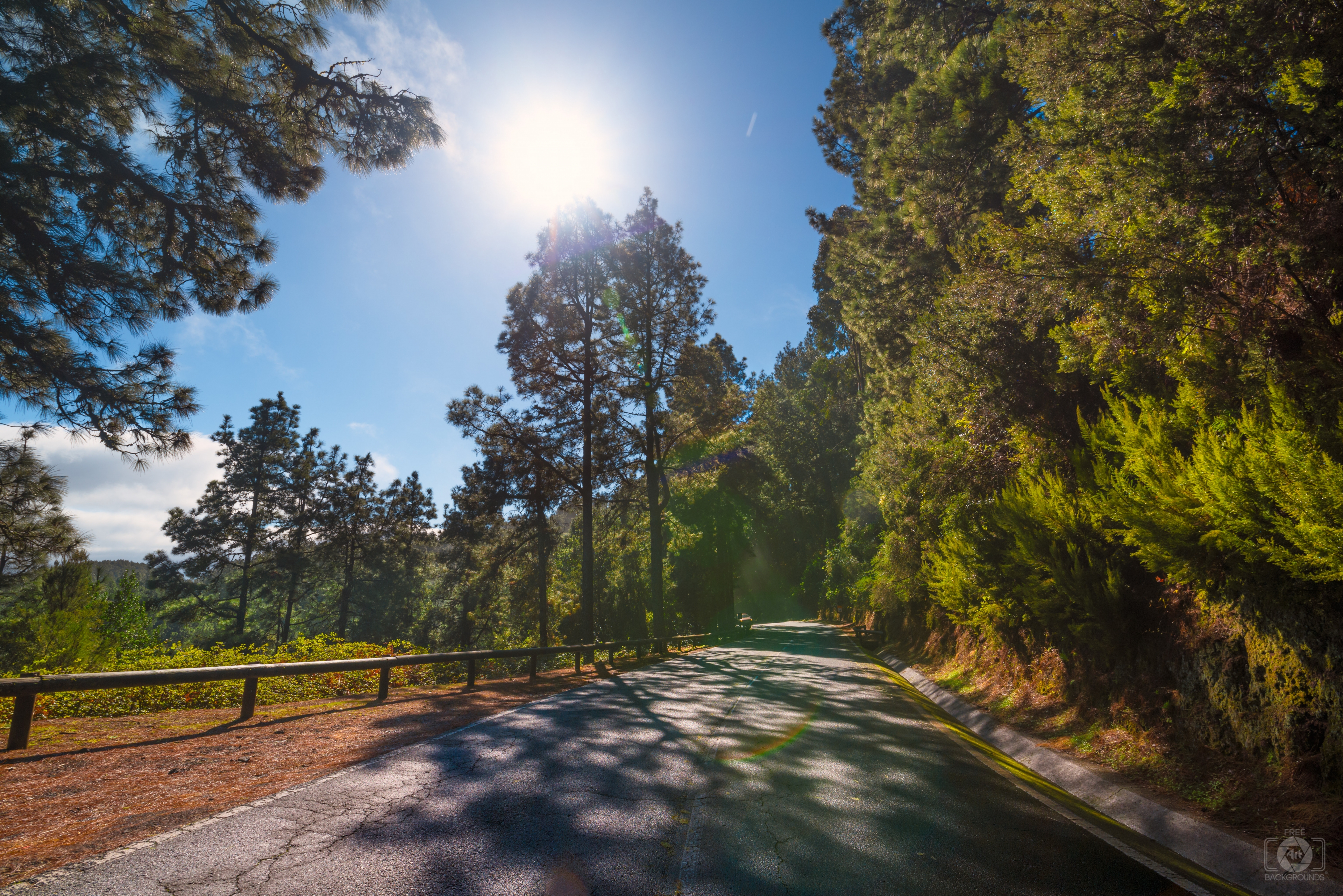 Mountains Forest Road Background - High-quality Free Backgrounds