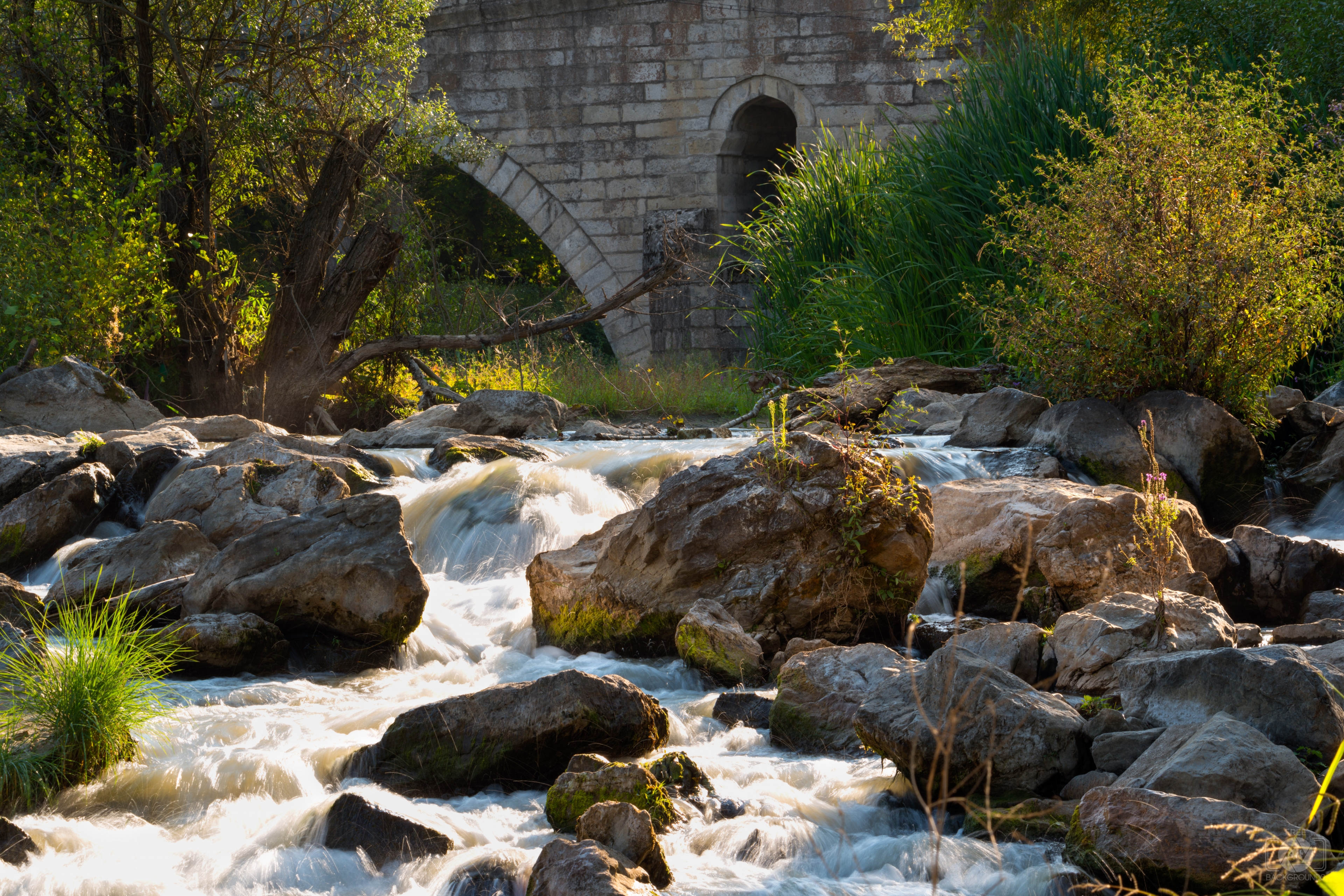 River Water Background - High-quality Free Backgrounds