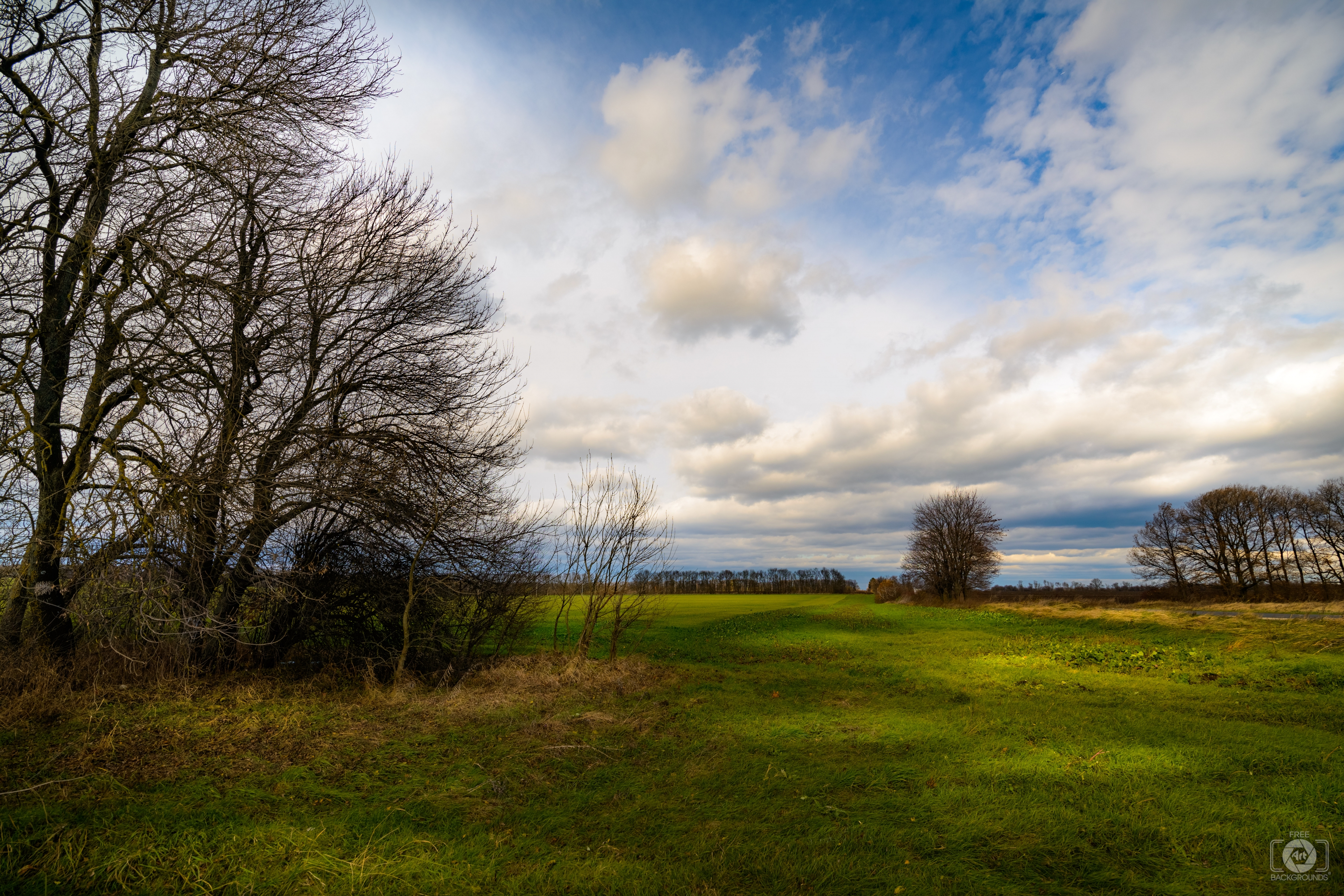 Rural Country Landscape Background - High-quality Free Backgrounds