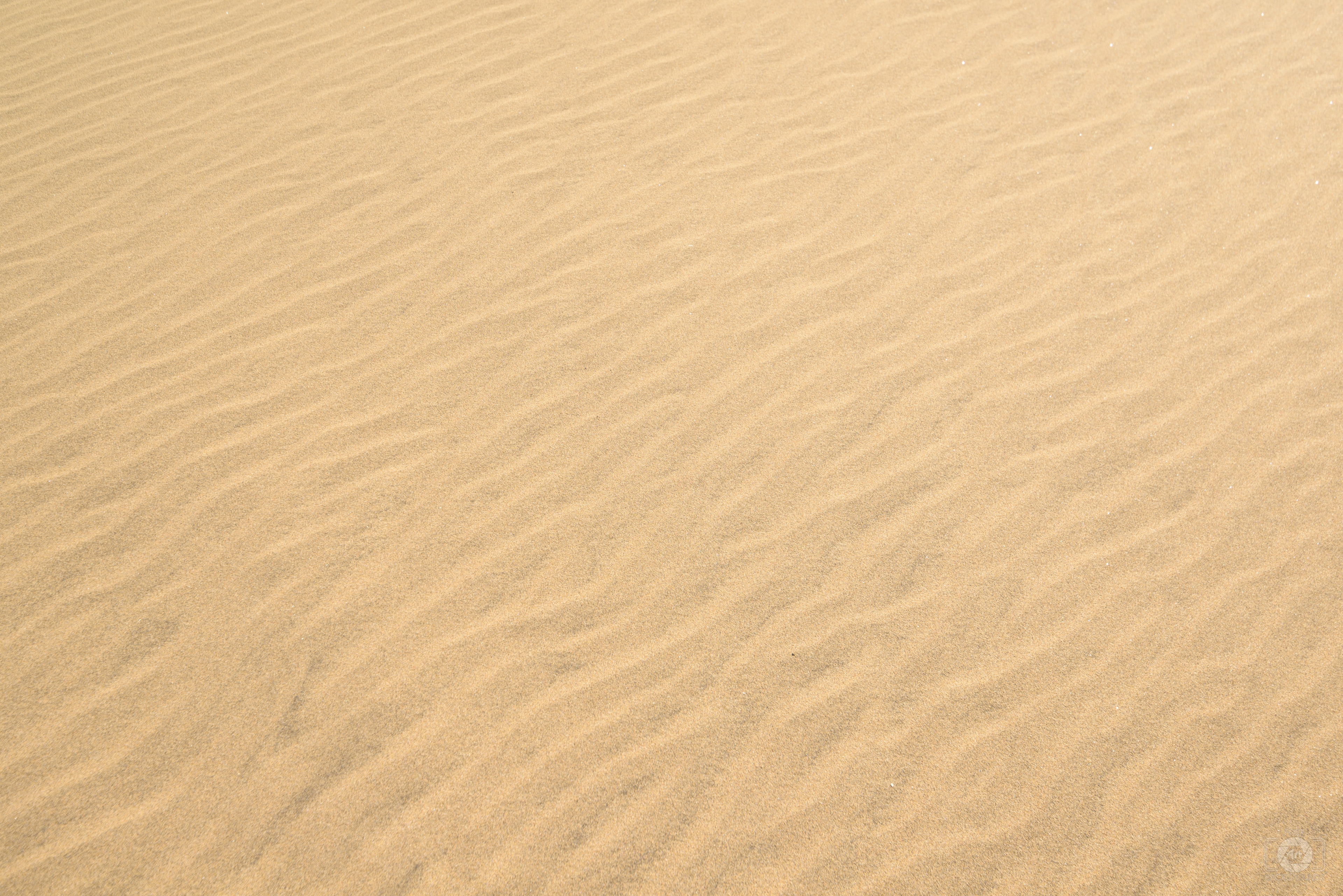 Sand Texture - High-quality Free Backgrounds