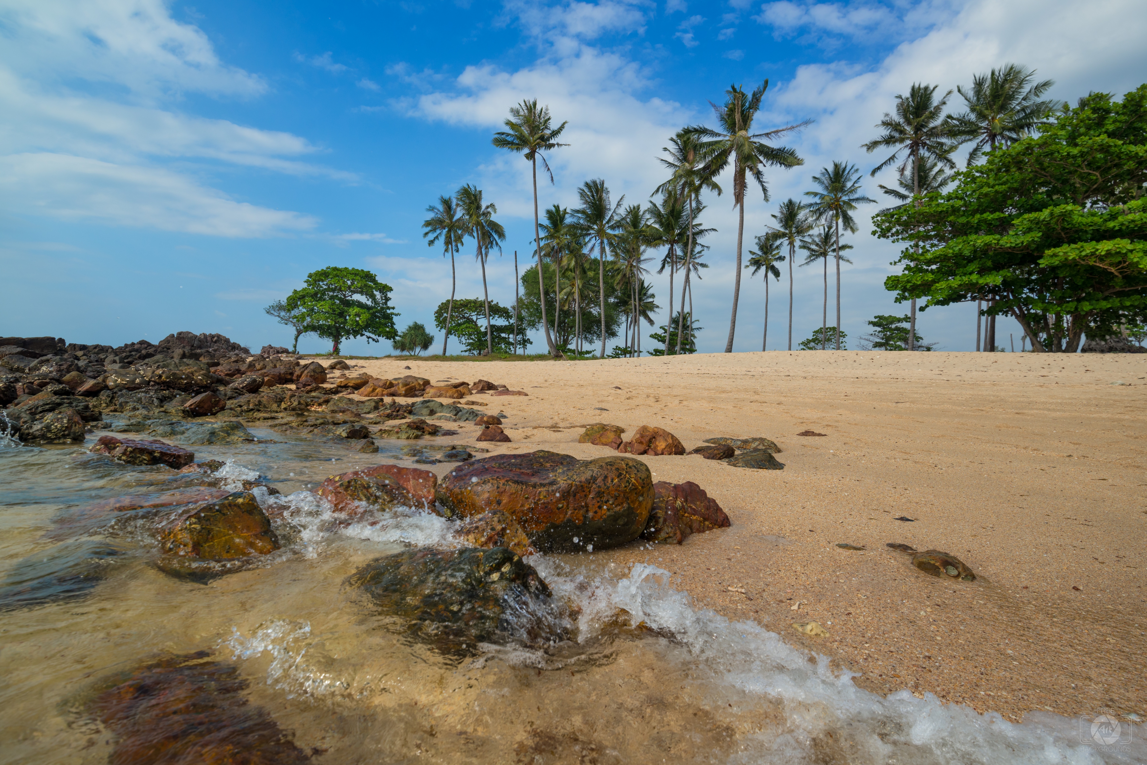 Tropical Beach Background High Quality Free Backgrounds