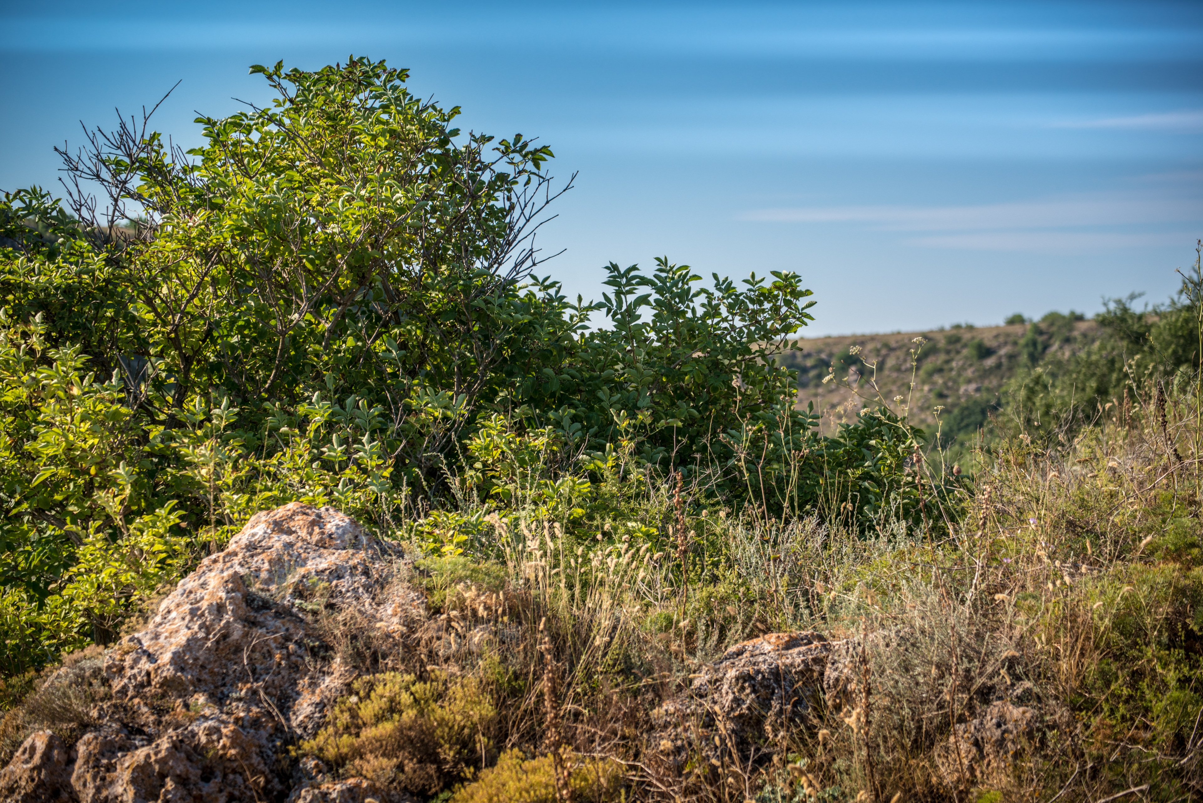 nature background hd full size