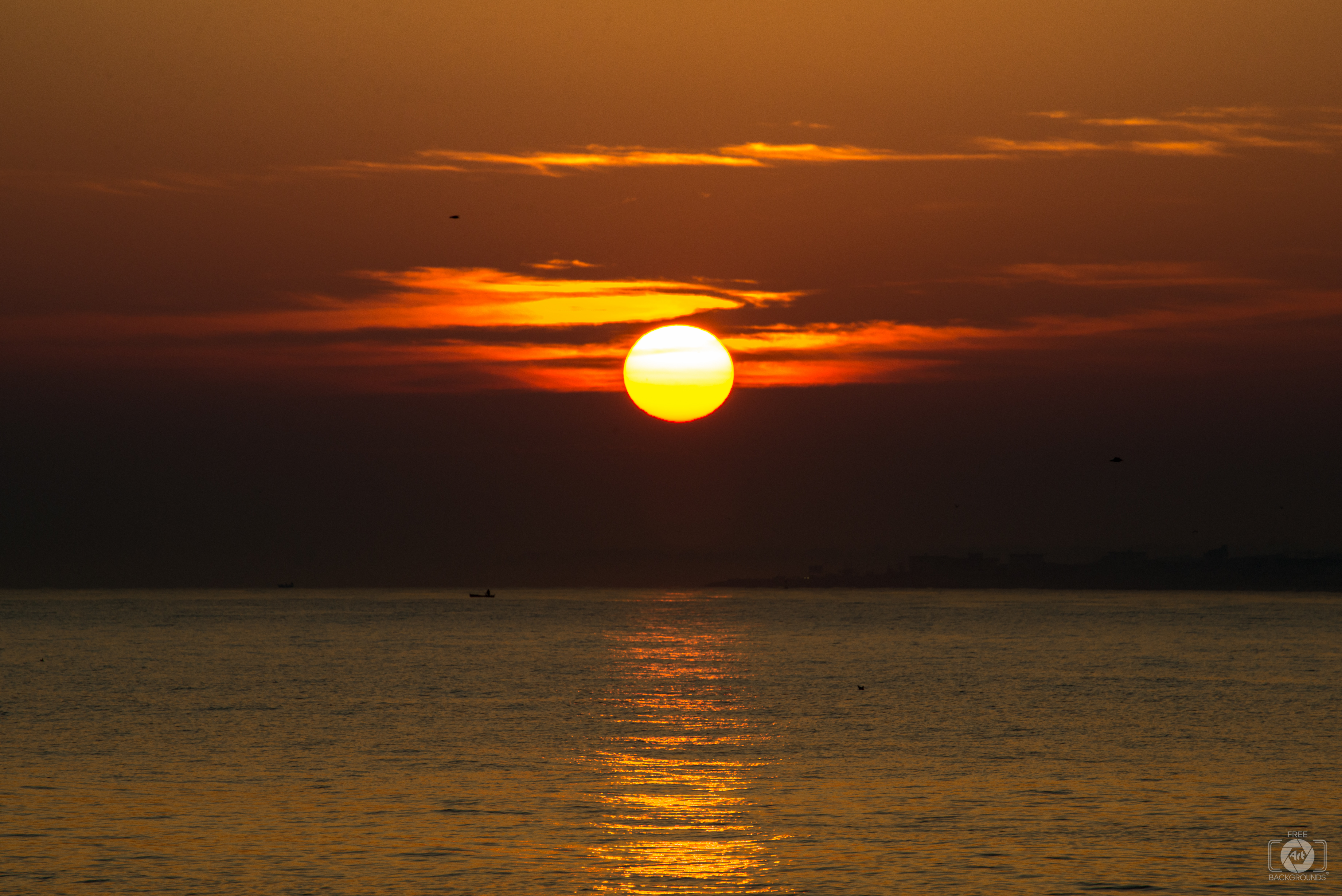Beautiful Orange Sea Sunrise Background High Quality Free Backgrounds