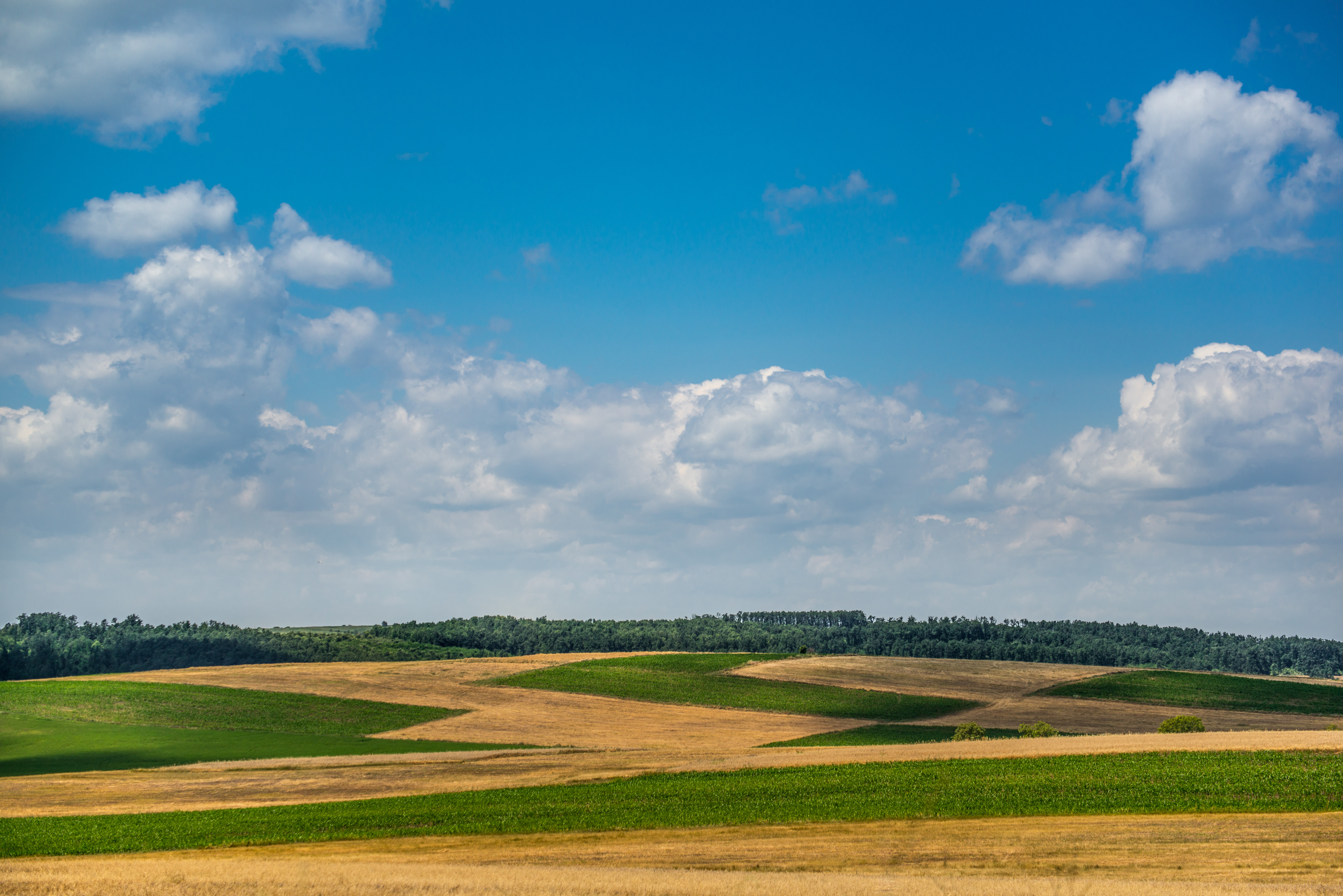 Blue Sky and Countryside Fields Background - High-quality Free Backgrounds