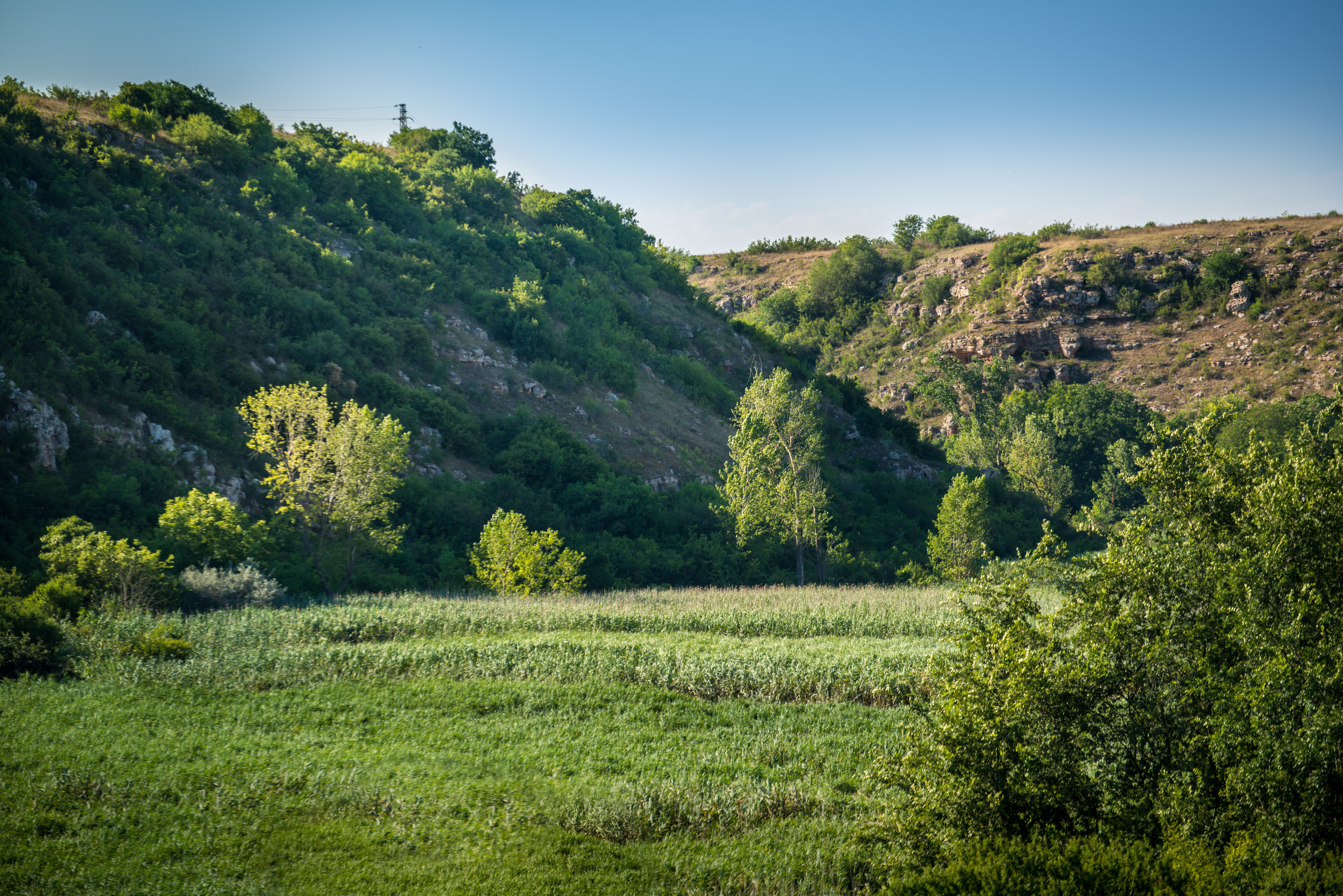 Green Mountain Hills Background - High-quality Free Backgrounds