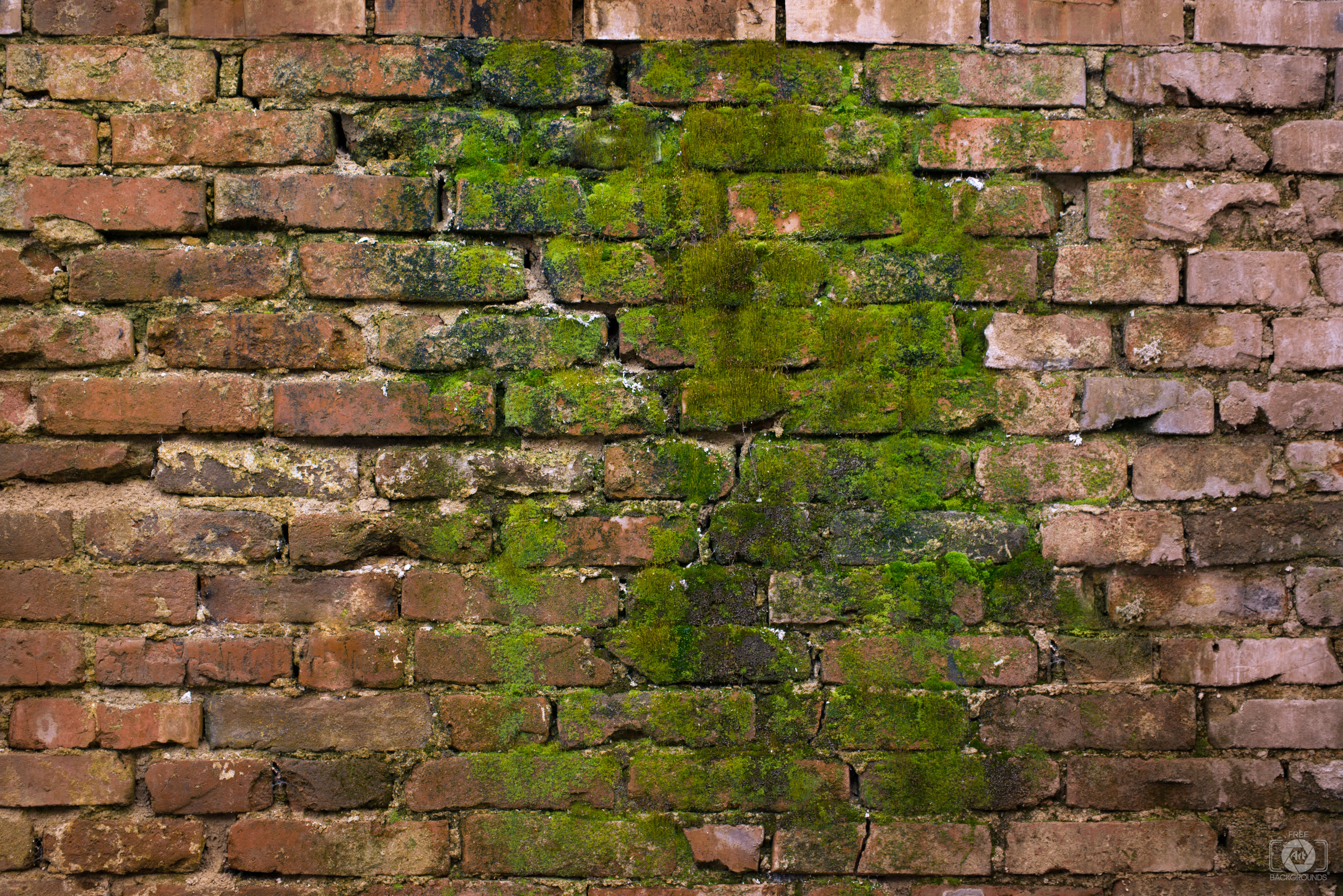 Download Old Brick Wall with Green Moss Texture - High-quality Free ...