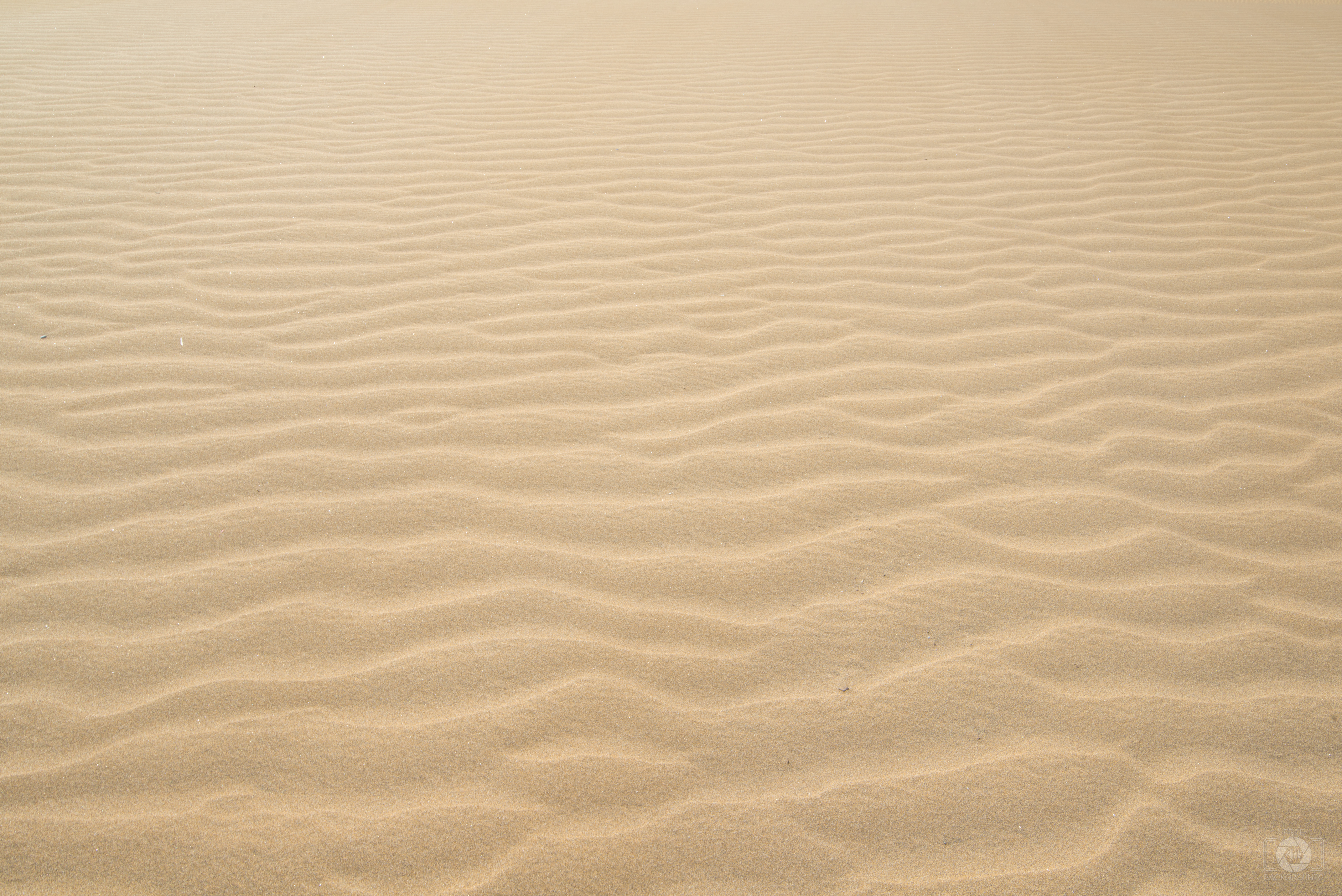 desert sand background