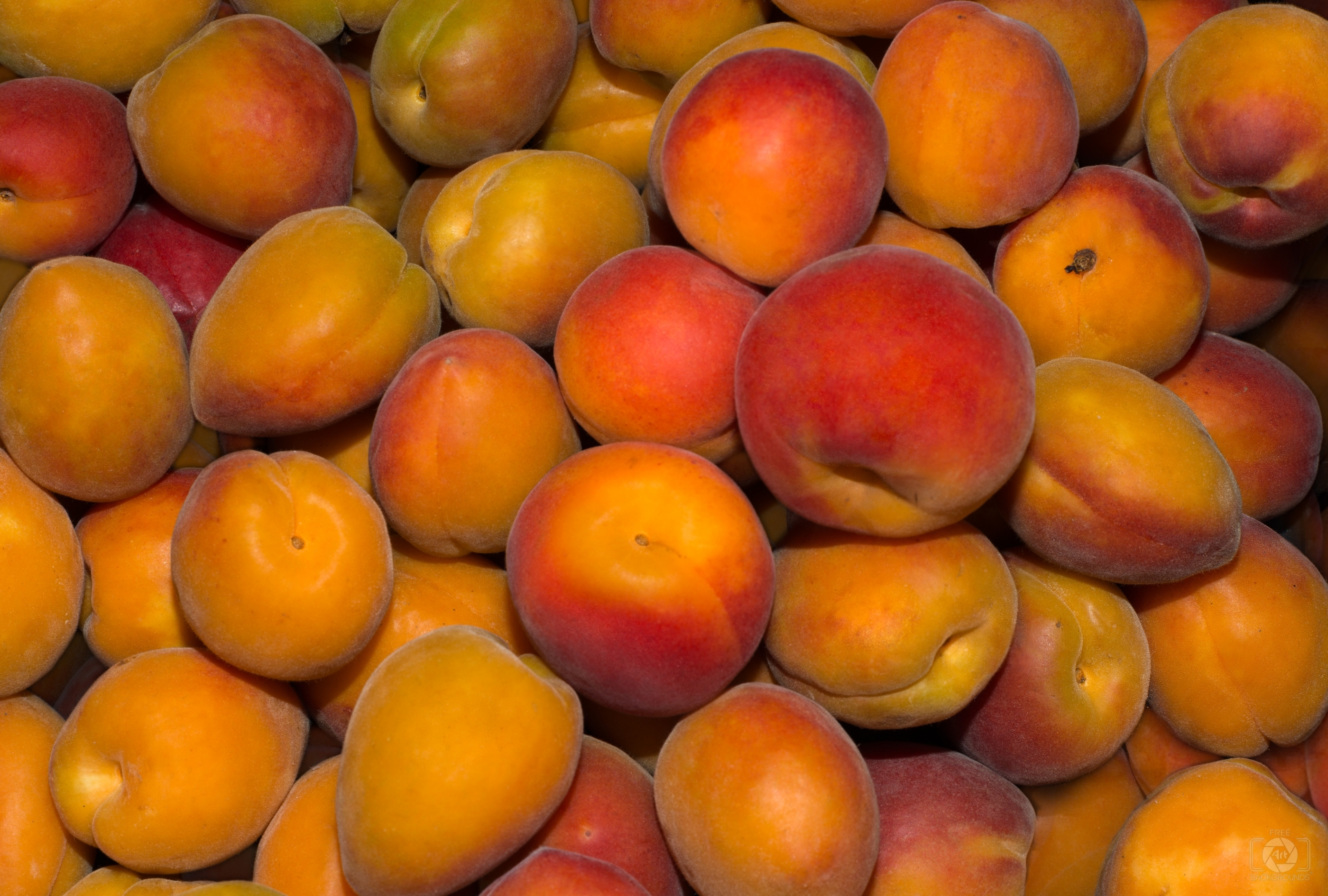 Apricot Texture - High-quality Free Backgrounds