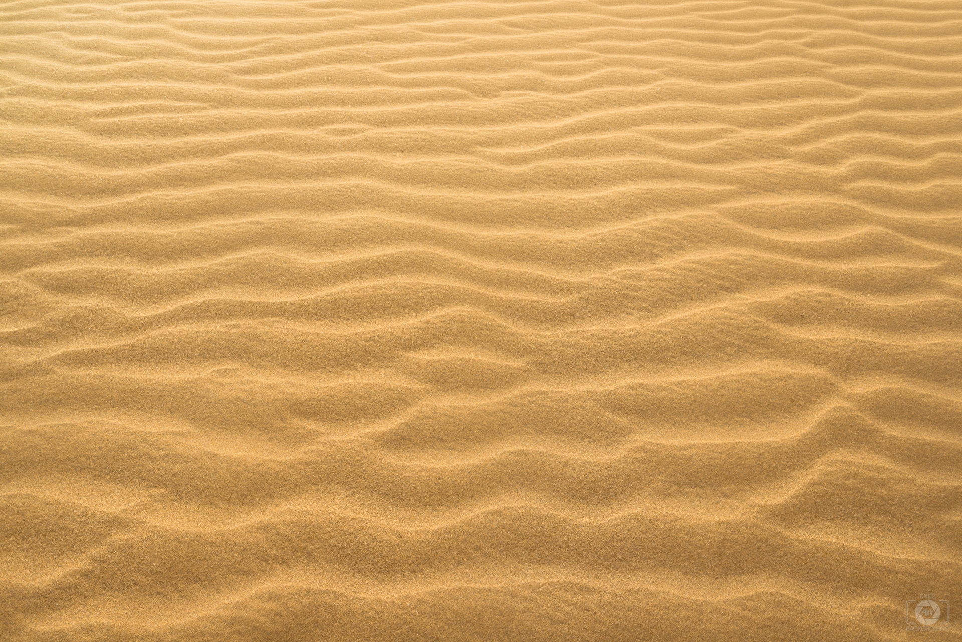 Beach Sand Texture Png Download And Use 50000 Sand Texture Stock