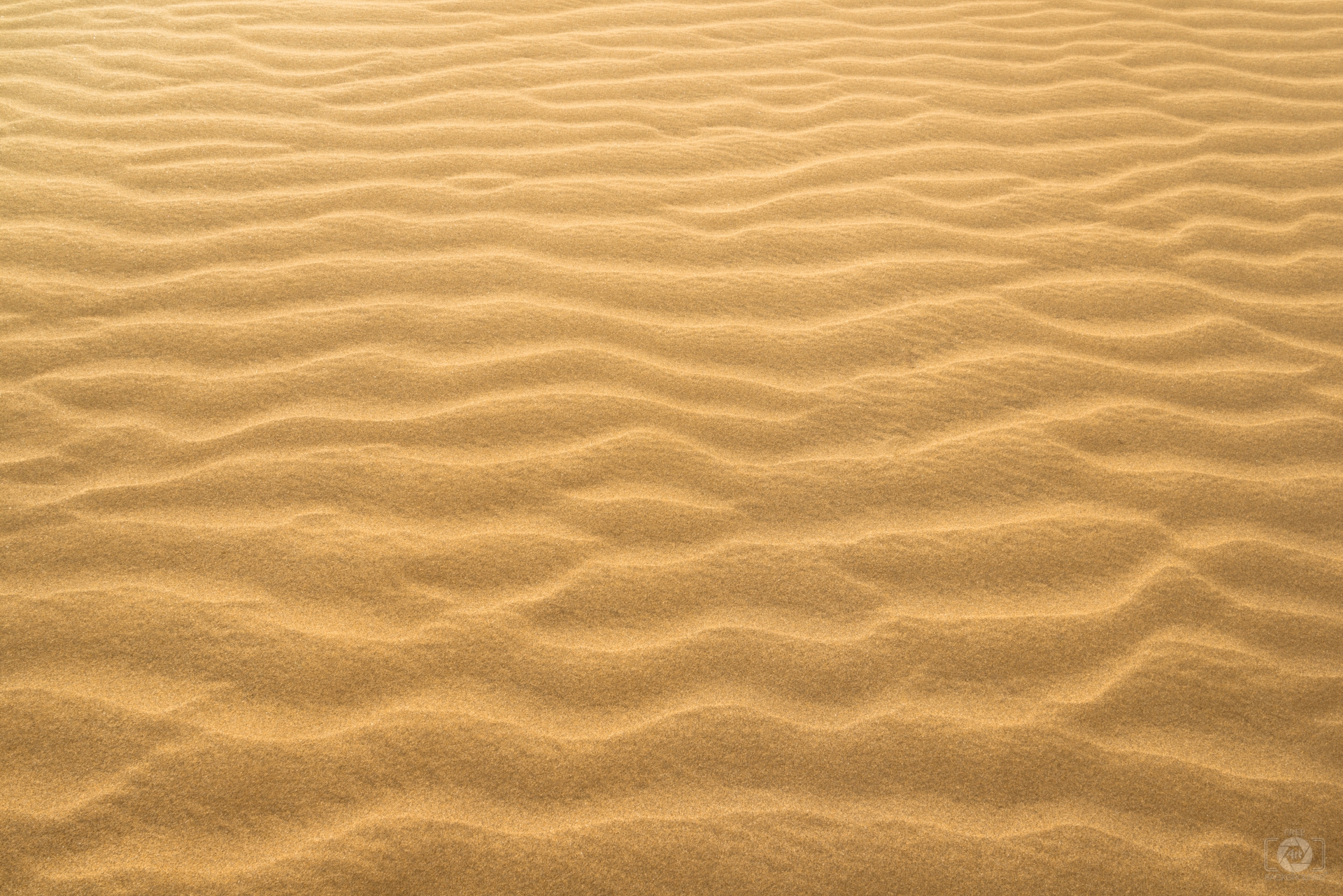 Desert Texture Hd