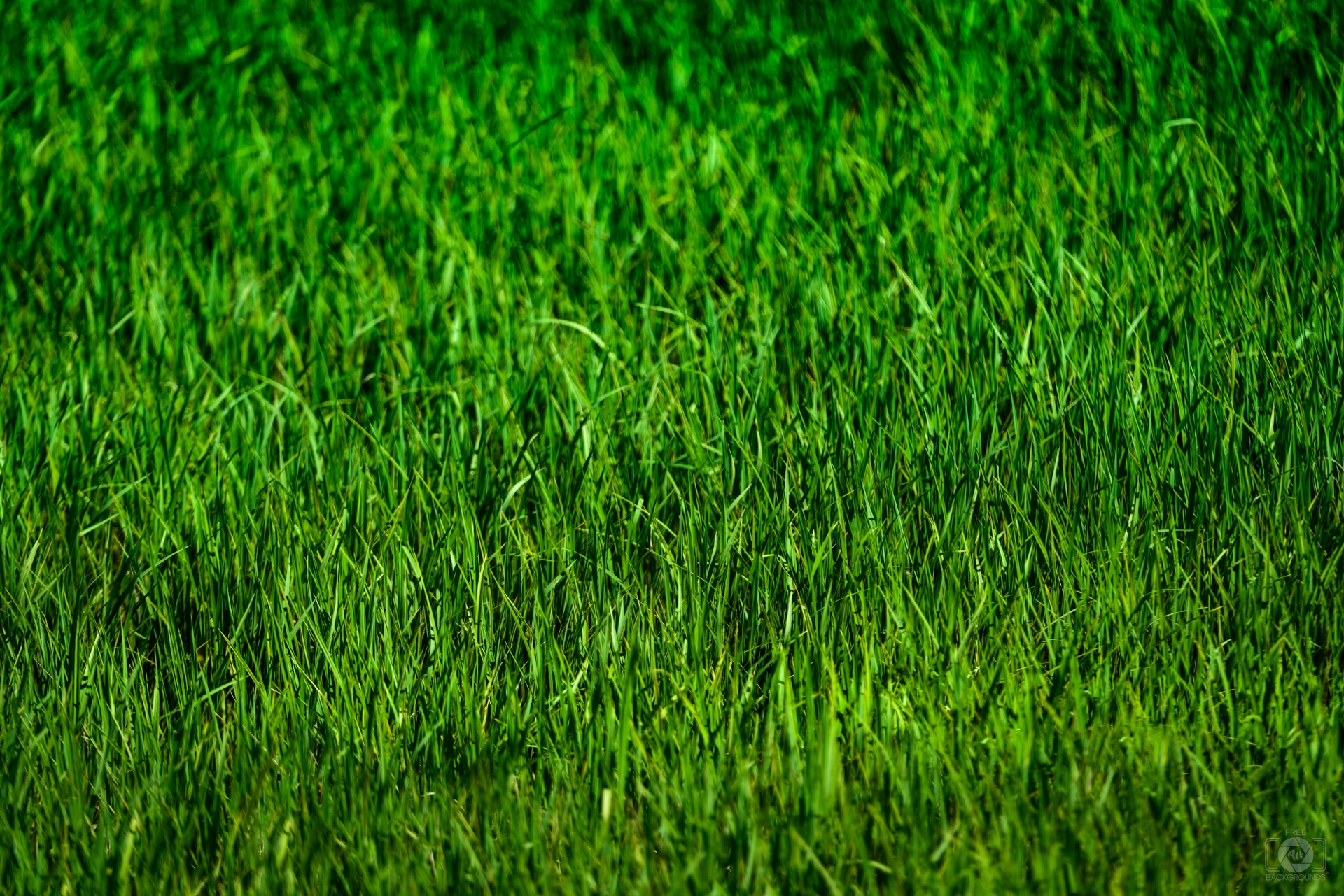 Green Grass Background Texture - High-quality Free Backgrounds