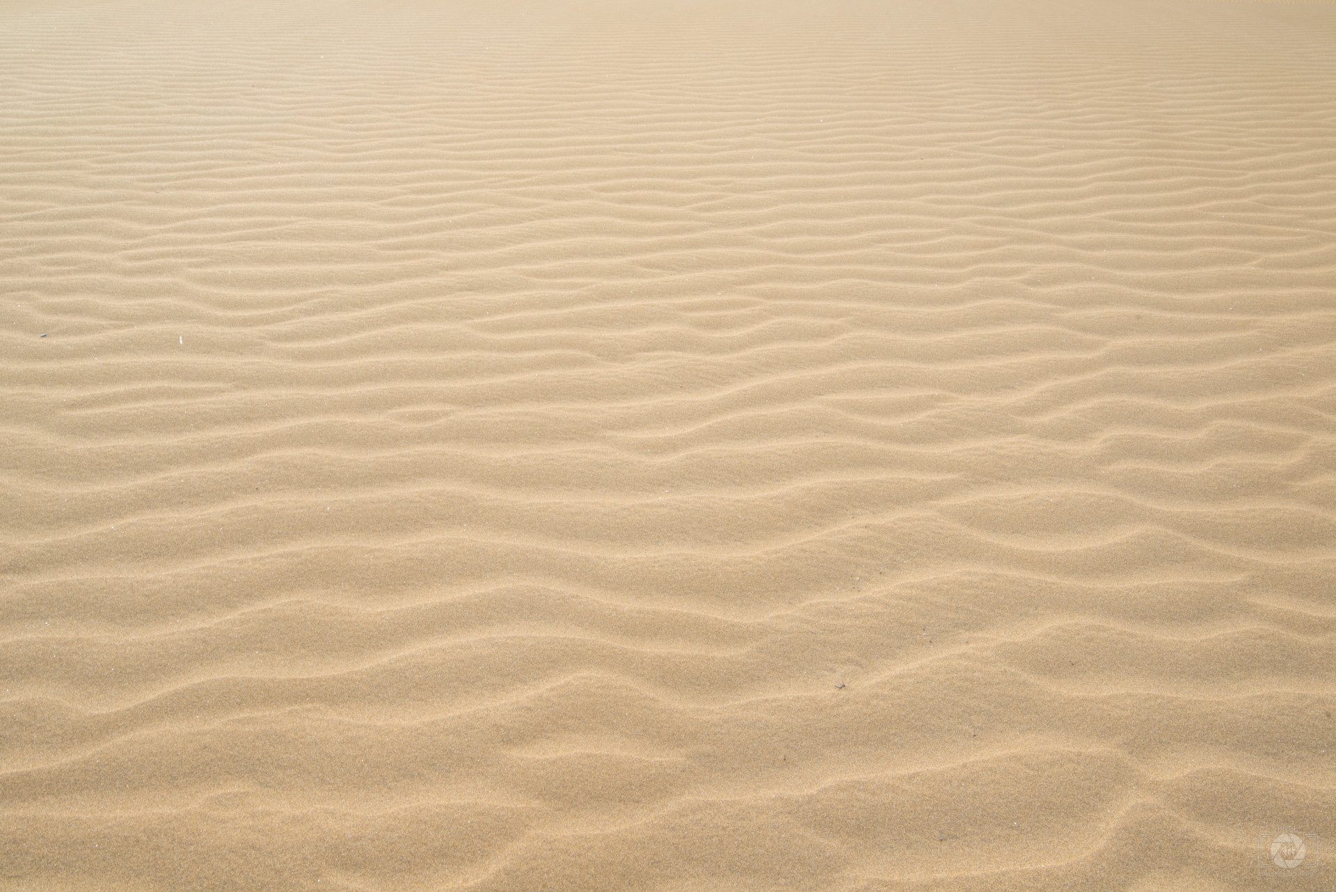 Sand from Desert Background - High-quality Free Backgrounds