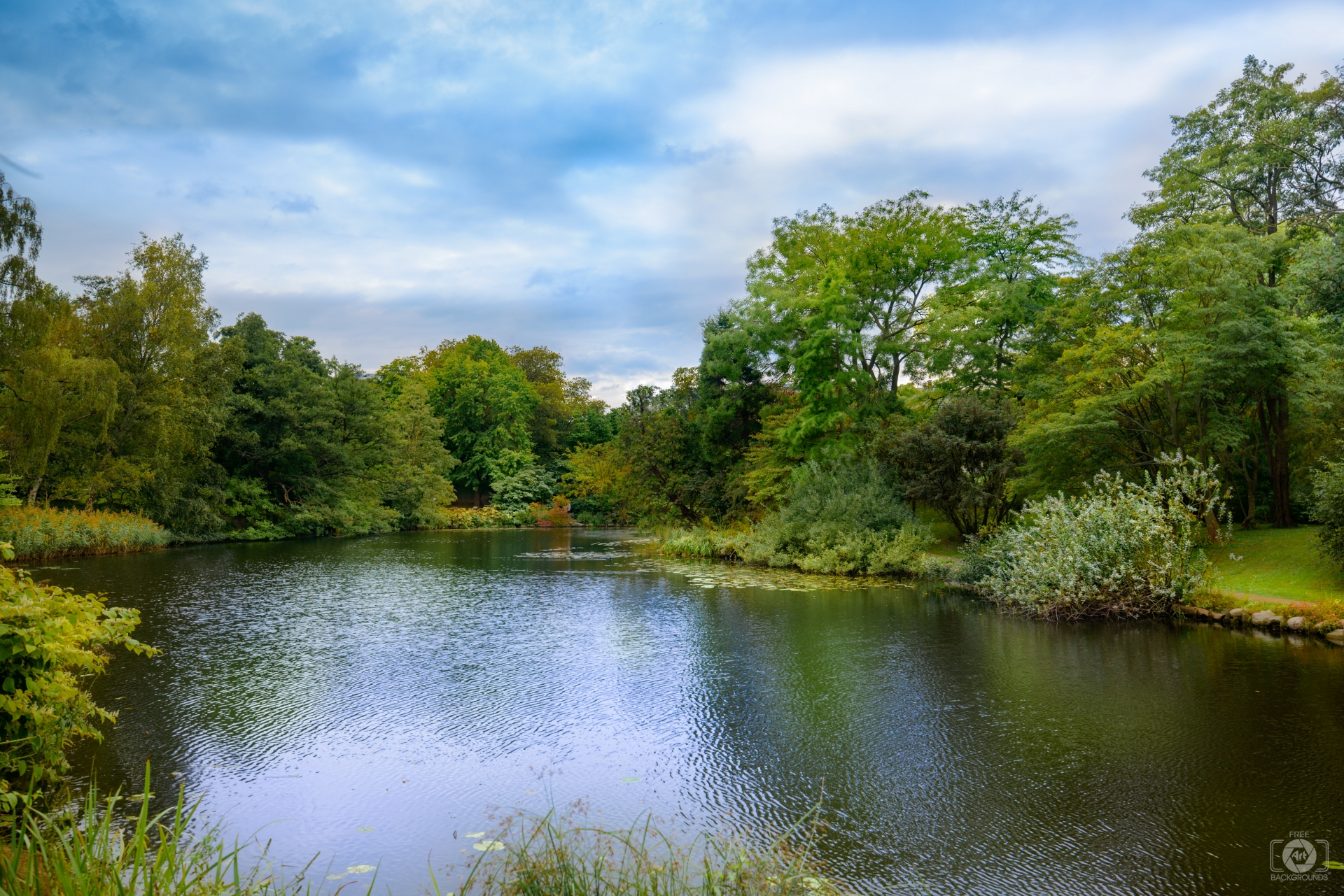 Beautiful Pond Background - High-quality Free Backgrounds