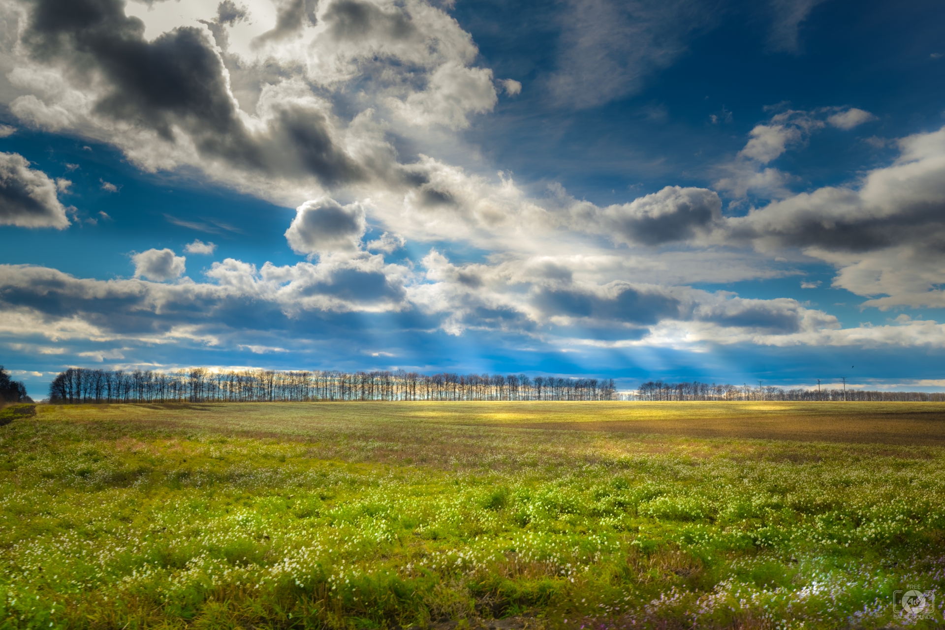 Field Landscape Background  High  quality  Free Backgrounds 