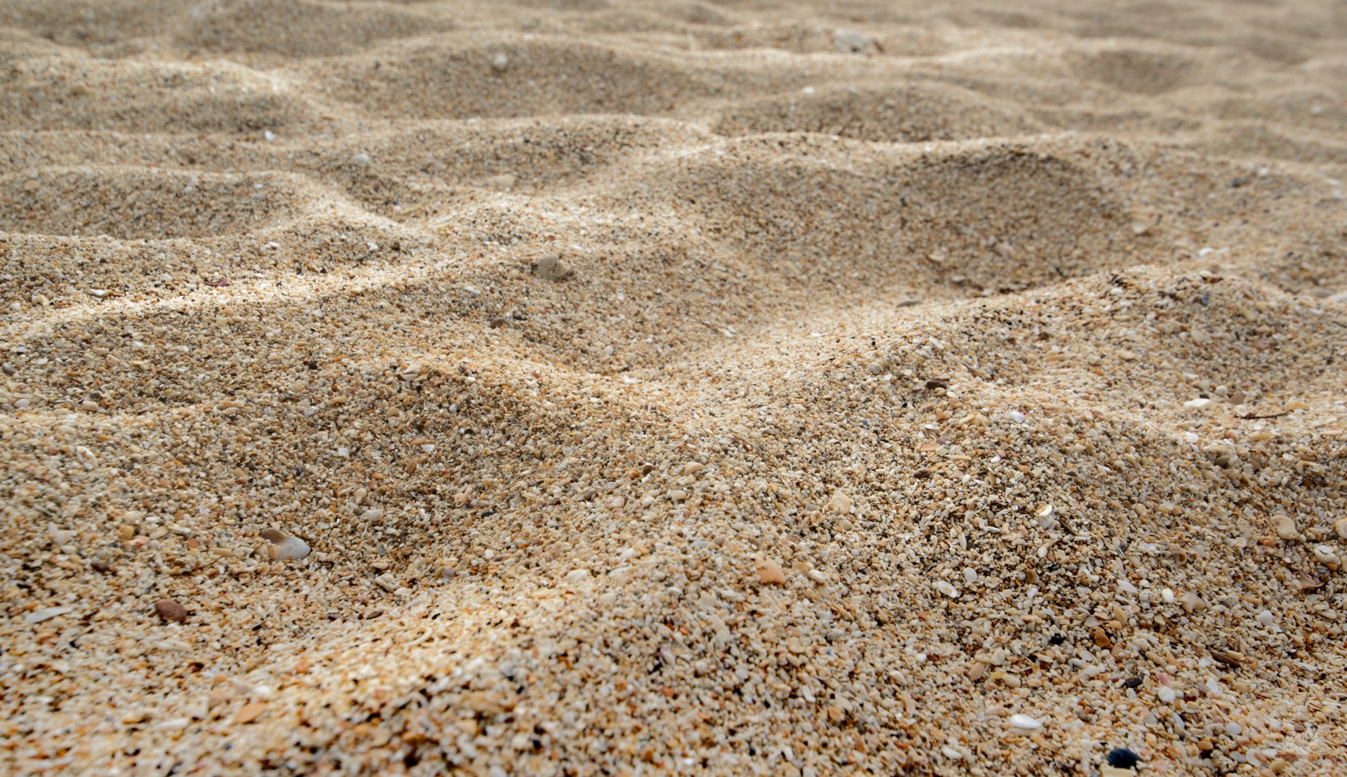 Natural Sea Sand Texture - High-quality Free Backgrounds