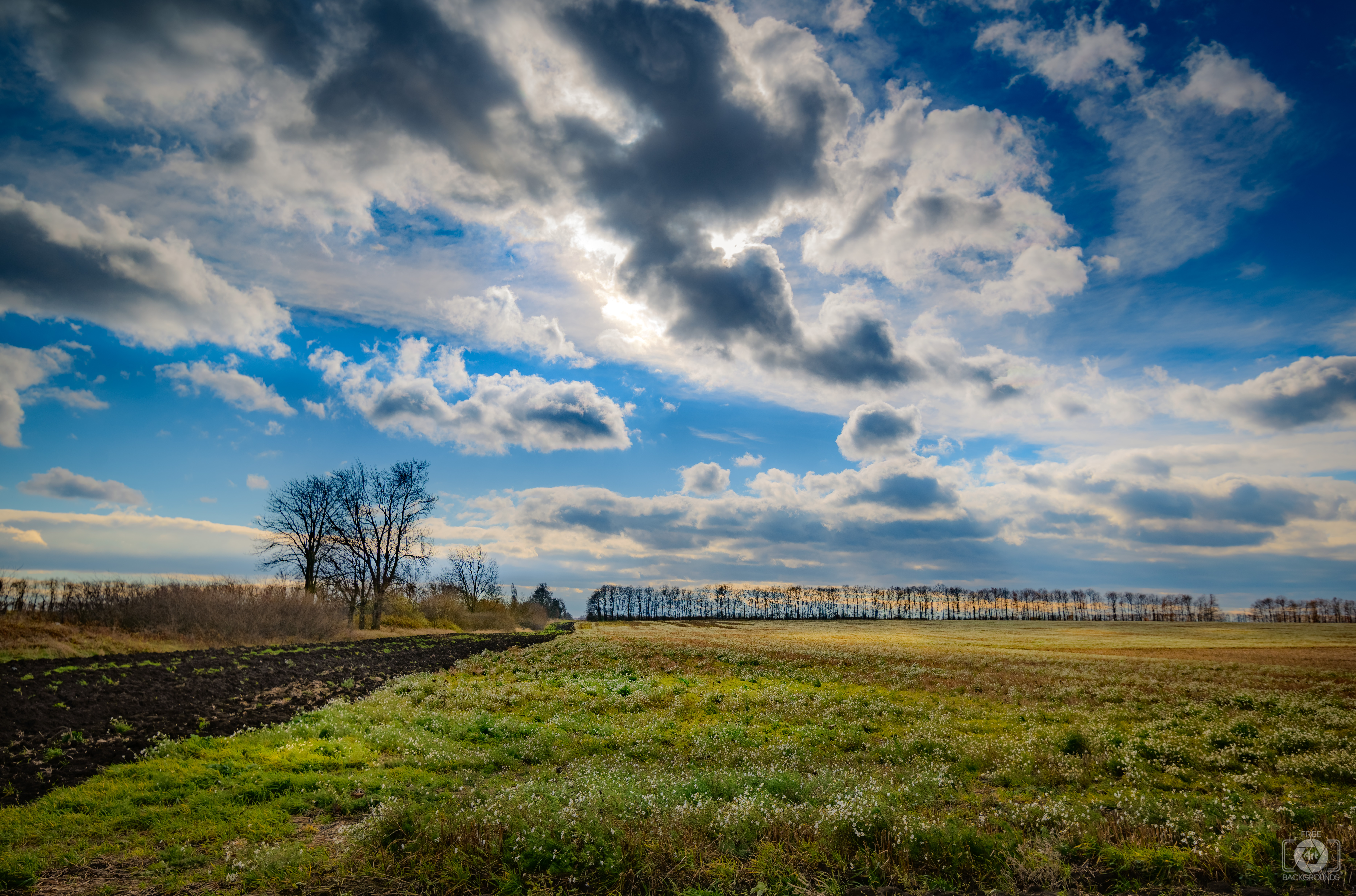 Fall Rural Landscape Background - High-quality Free Backgrounds