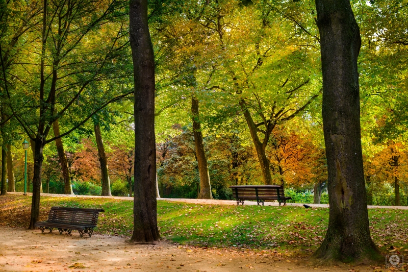Autumn in the Park Background - High-quality free Photo in cattegory Autumn / Backgrounds from FreeArtBackgrounds.com