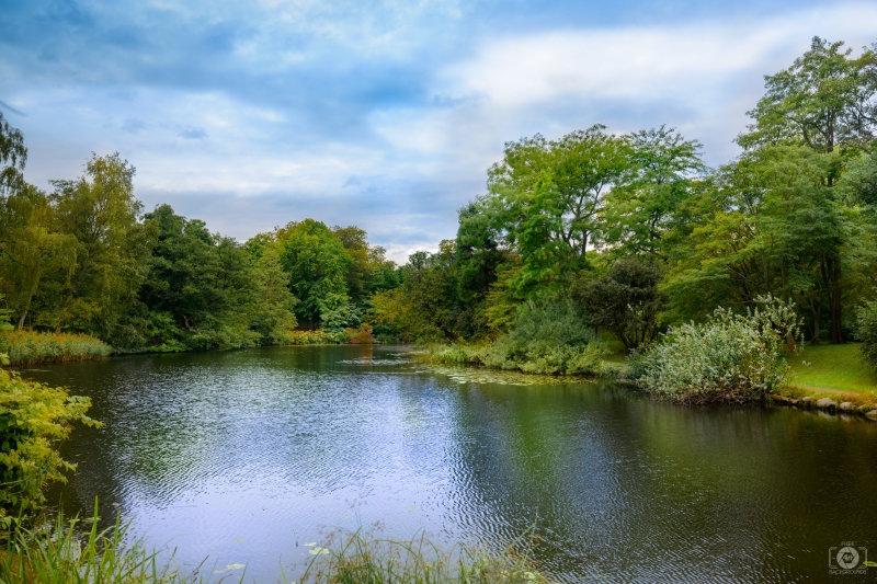 Beautiful Pond Background - High-quality free Photo in cattegory Landscapes / Backgrounds from FreeArtBackgrounds.com