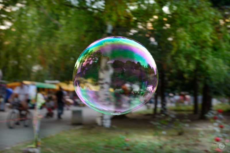 Bubble in the Park Background - High-quality free Photo in cattegory Art / Backgrounds from FreeArtBackgrounds.com