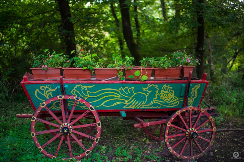Decorative Cart with Flowers Background - High-quality free Photo in cattegory Art / Backgrounds from FreeArtBackgrounds.com