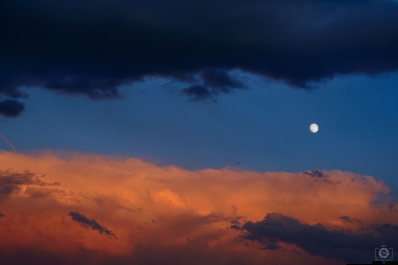 Evening Sky and Moon Background - High-quality free Photo in cattegory Sky / Backgrounds from FreeArtBackgrounds.com