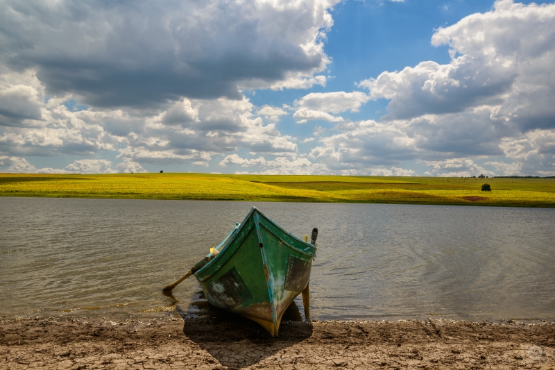 Fishing Boat on the Shore of Lake in front of Sunflower Field Background - High-quality free Photo in cattegory Landscapes / Backgrounds from FreeArtBackgrounds.com