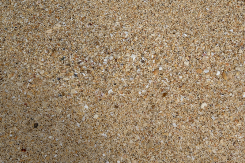 Natural Sea Sand Background Texture - High-quality free Photo in cattegory Textures / Backgrounds from FreeArtBackgrounds.com