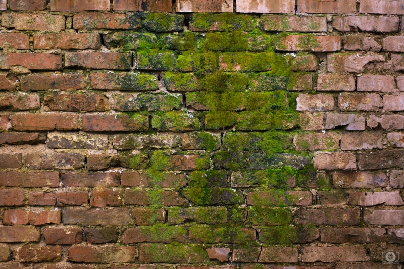 Old Brick Wall with Green Moss Texture - High-quality free Photo in cattegory Textures / Backgrounds from FreeArtBackgrounds.com