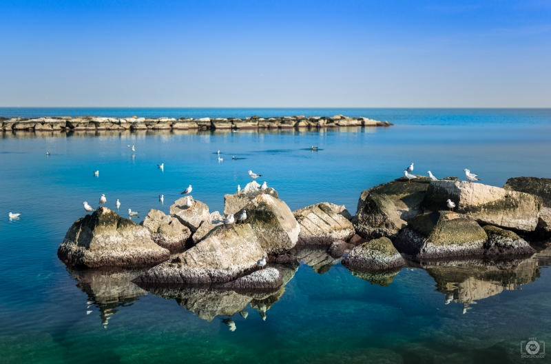 Seagulls on Sea Rocks Background - High-quality free Photo in cattegory Sea / Backgrounds from FreeArtBackgrounds.com