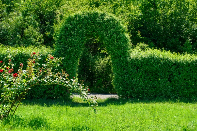 Shrub Arch Background - High-quality free Photo in cattegory City / Backgrounds from FreeArtBackgrounds.com