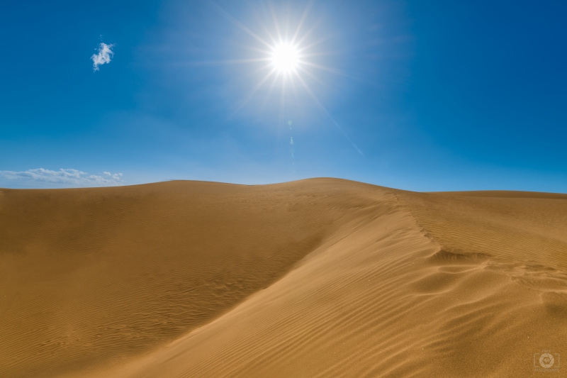 Sunny Desert Background - High-quality free Photo in cattegory Landscapes / Backgrounds from FreeArtBackgrounds.com