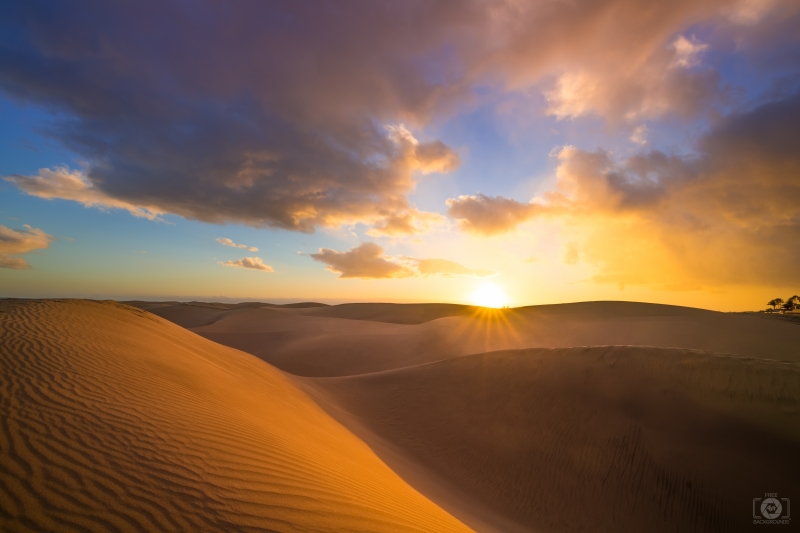 Sunset in Desert Background - High-quality free Photo in cattegory Landscapes / Backgrounds from FreeArtBackgrounds.com