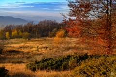 Autumn Background - High-quality free Photo from FreeArtBackgrounds.com