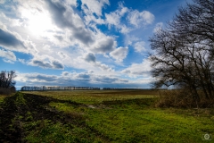 
Autumn Field Background