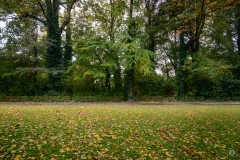 Autumn Park Background - High-quality free Photo from FreeArtBackgrounds.com