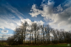 
Autumn Trees Rural Landscape Background