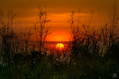 Beautiful Sunset Background - High-quality free Photo from FreeArtBackgrounds.com