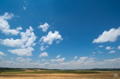 Country Fields and Blue Sky Background