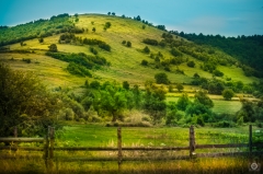 Countryside Background - High-quality free Photo from FreeArtBackgrounds.com