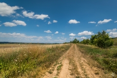 Countryside Dirt Road Background