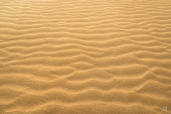 Desert Sand Texture - High-quality free Photo from FreeArtBackgrounds.com