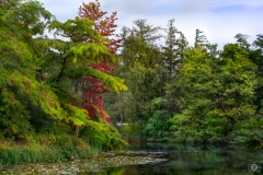 Lake Autumn Landscape Background