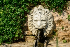 Lion Head Fountain Background - High-quality free Photo from FreeArtBackgrounds.com